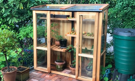 Tall cold frame
