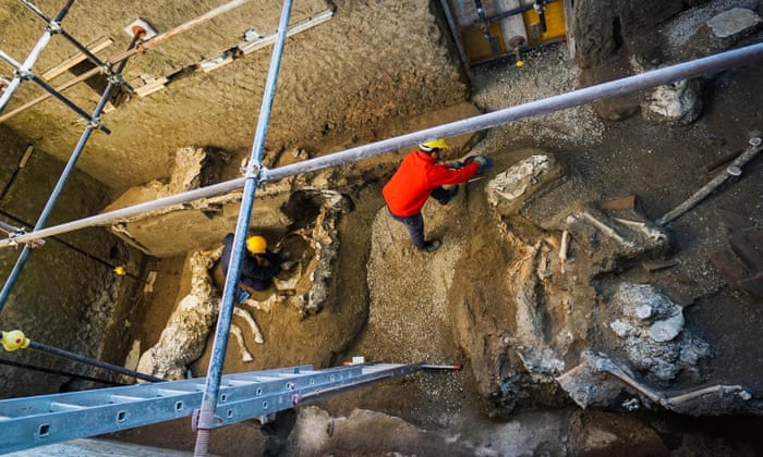 Archaeologists find remains of horses in ancient Pompeii stable |  Archaeology | The Guardian