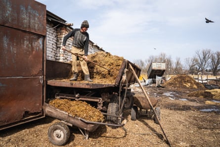 Workers tend to a farm in Kharkiv, Ukraine, that was damaged after recent fighting.