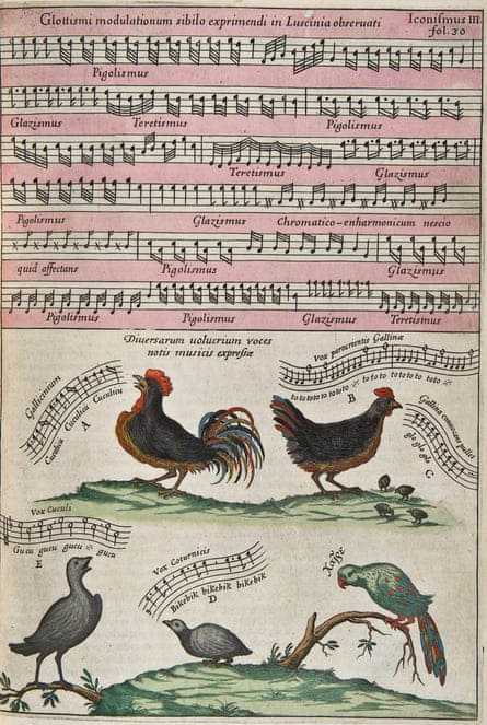 Birdsong notated in the Athanasius Kircher, Musurgia Universalis, c 1650.