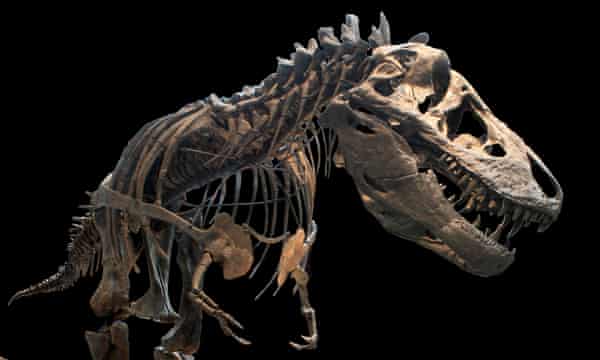 Tyrannosaurus had een furcula