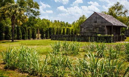 Demonstration sugarcane grows outside preserved slave quarters at The Whitney Plantation in Wallace, Louisiana.