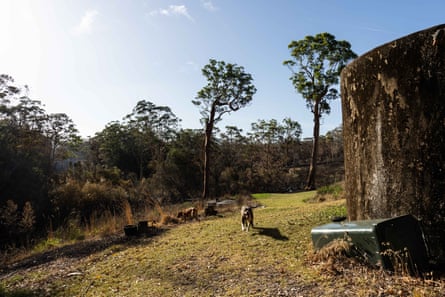 The fire came within metres of Garry Morgan’s backyard.