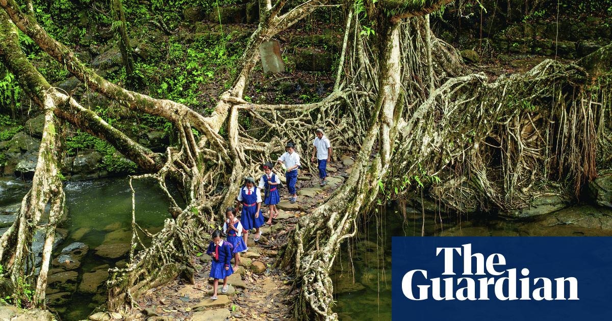 Living bridges and supper from sewage: can ancient fixes save our crisis-torn world? - The Guardian