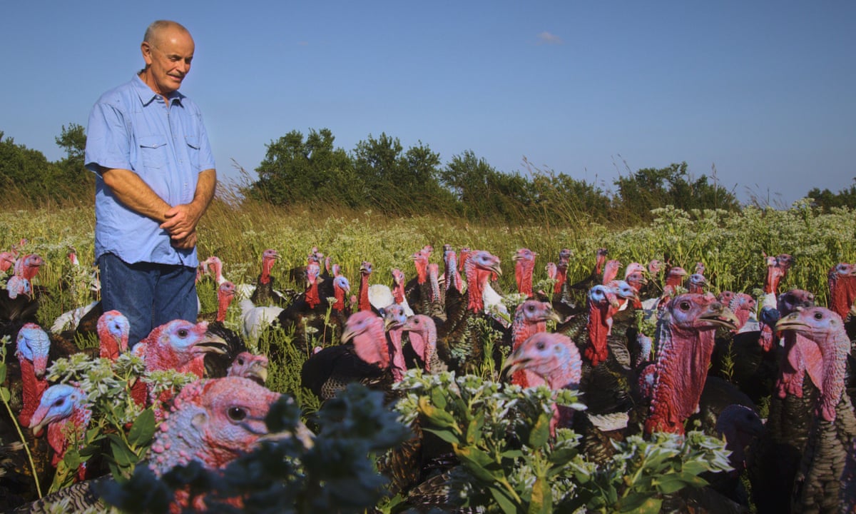 Eating Animals Review Painful Portrait Of Factory Farming Documentary Films The Guardian Eating Animals Review Painful Portrait Of Factory Farming Documentary Films The Guardian
