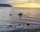 ‘The whale was not treated with the respect it deserved’: recriminations after carcass towed to Wollongong tip