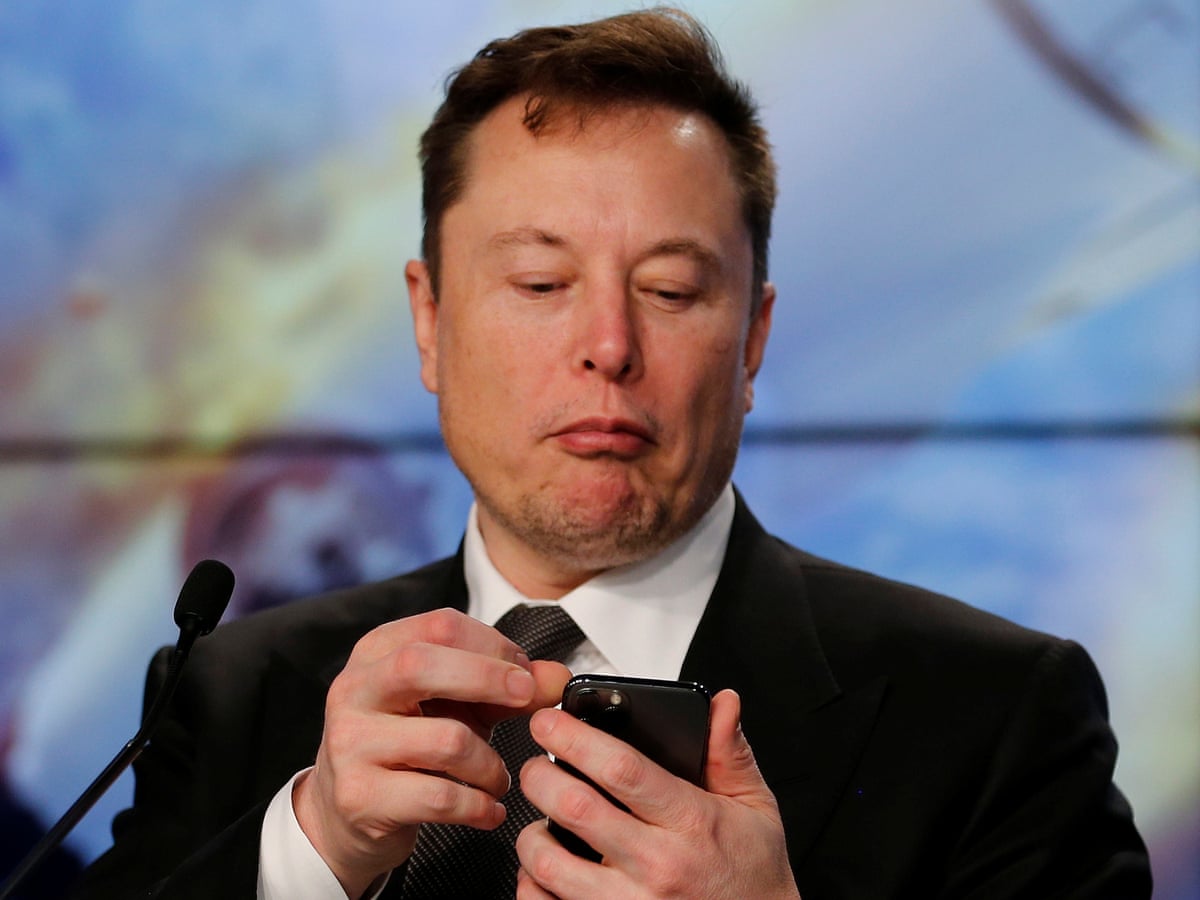 Price Of Dogecoin Rises By 50 Following Elon Musk Tweet Stock Markets The Guardian Price Of Dogecoin Rises By 50 Following Elon Musk Tweet Stock Markets The Guardian