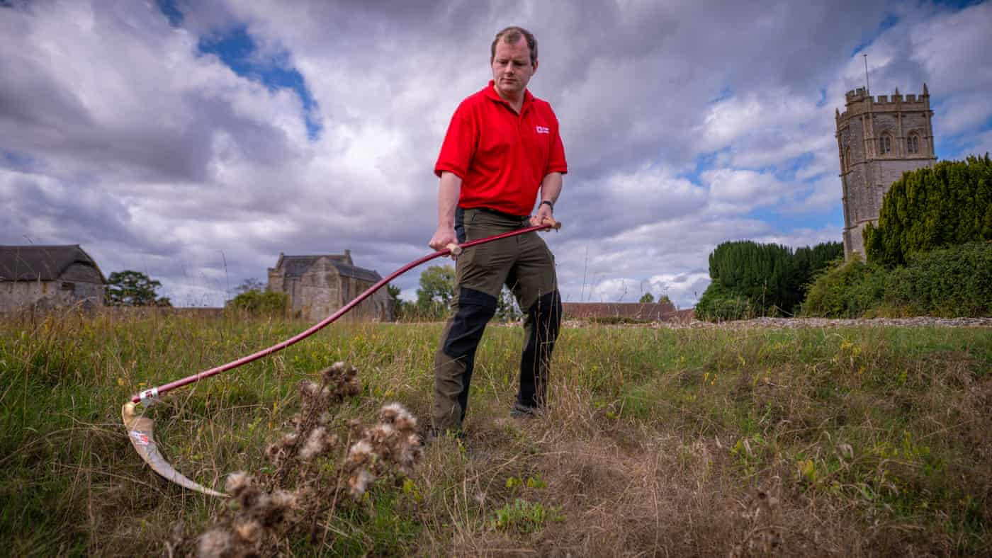 Scything protects rare bumblebees