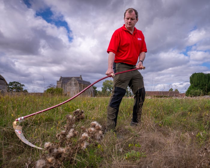 English Heritage trains new generation of scythers to maintain meadows and craft