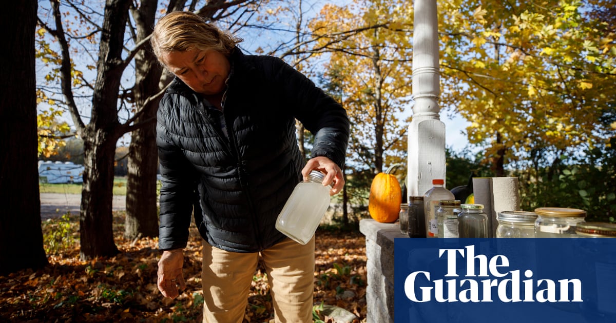 The Canadian town of Tiny has the world’s purest water. A gravel mining operation could ruin it - The Guardian