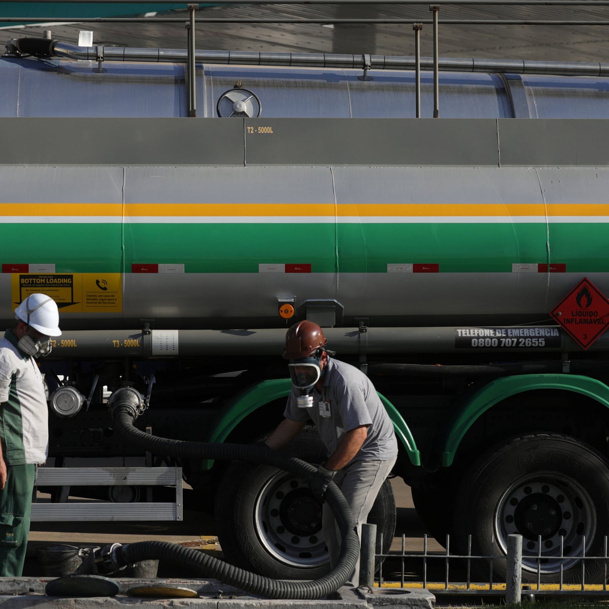 Brazil Trucker Strike Leads To Premature Slaughter Of Millions Of Chickens Brazil The Guardian