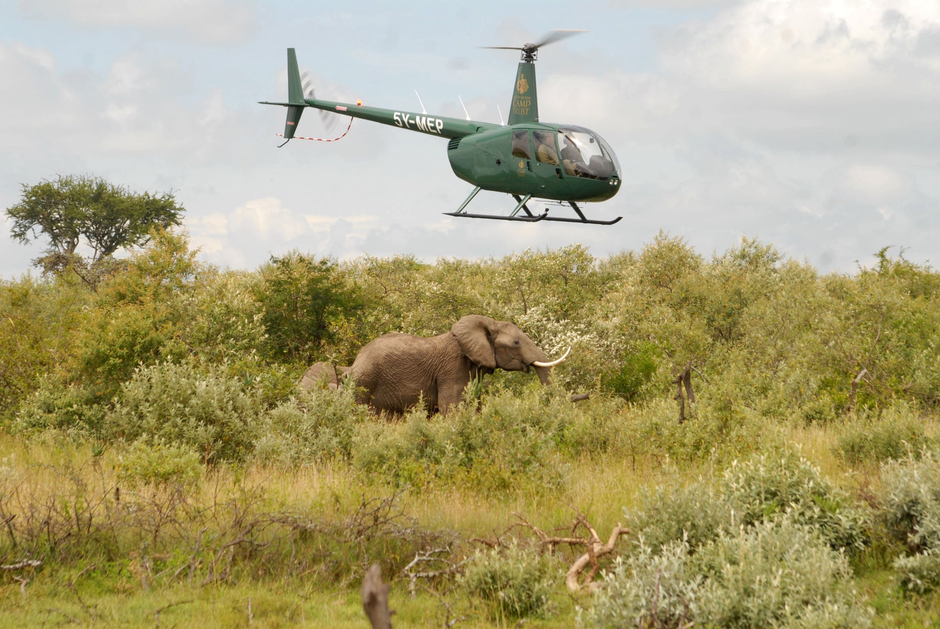 'My land is now owned by lions': Maasai Mara farmers offer Kenya's wildlife a lifeline 3872