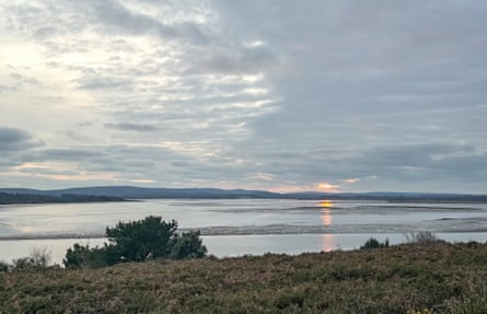 The food-rich mudflats of Poole harbour.