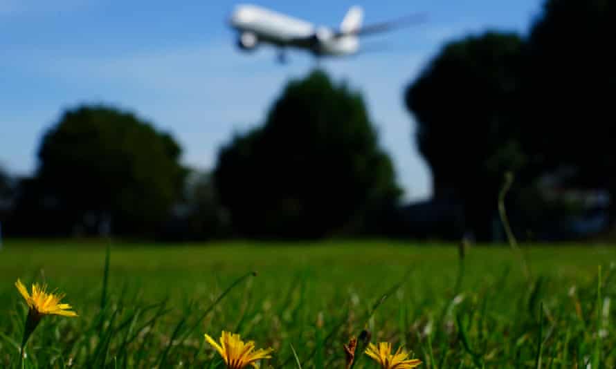 green field with airline taking off in background