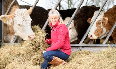 Minette Batters on her farm near Salisbury, with her herd of Simmental Cross cattle.