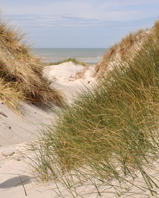 Baie de Somme, Haut de France