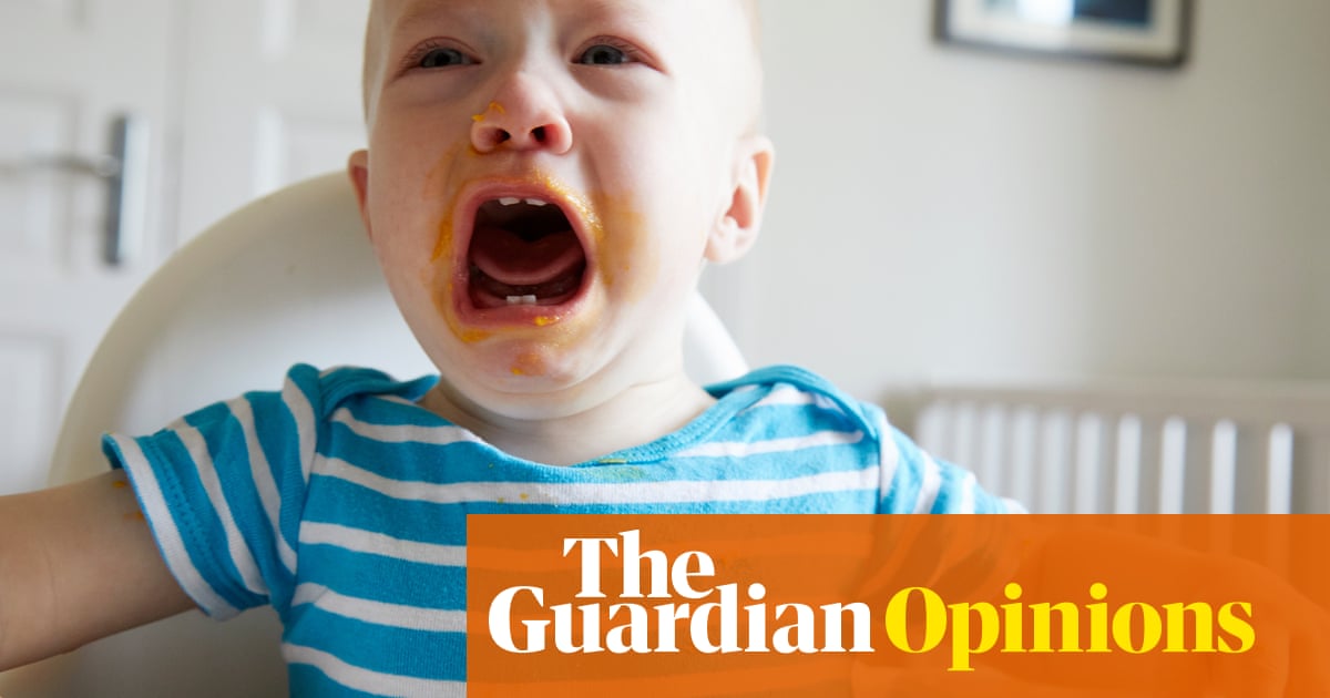 You say we need more babies, rightwingers? Come back to me after you've fought in the trenches of soft play | Emma Beddington