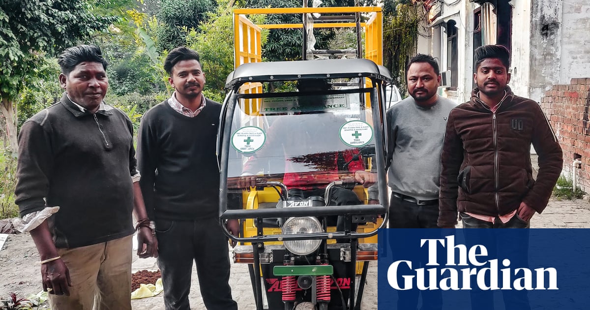 A&E for trees: pioneering clinic in India provides lifeline for poorly plants