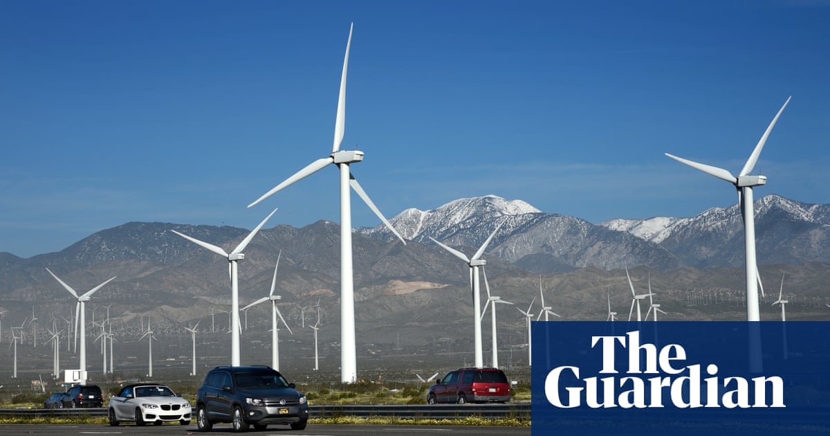 The influential academic says renewables alone can halt climate crisis, with technologies such as carbon capture expensive wastes of time “Combustio