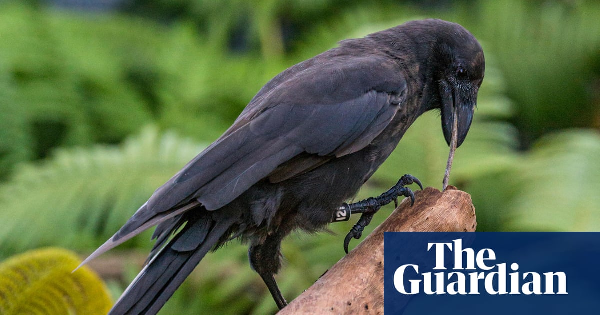 Who Founded Keauhou Bird Conservation Center: Discover the Visionary Founder