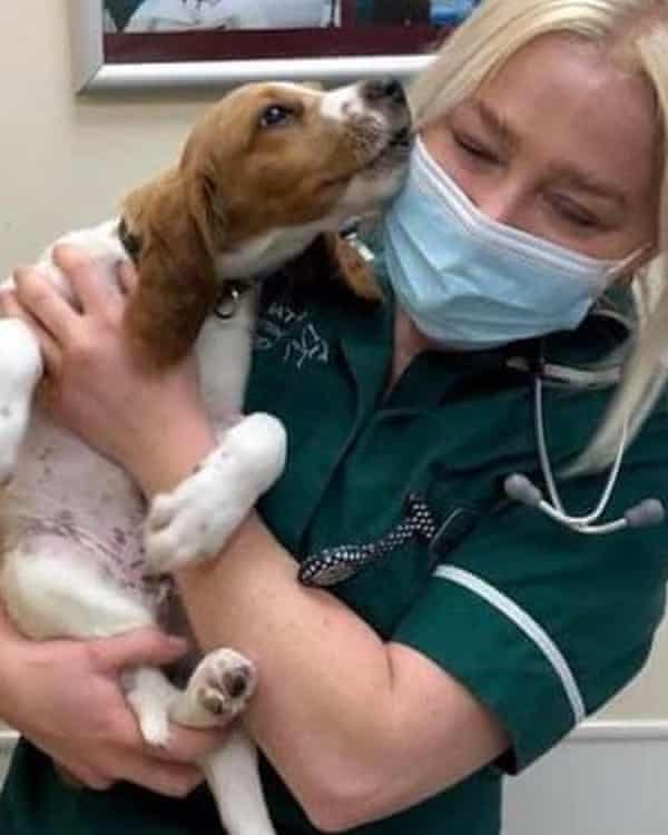 In a profession under immense strain, veterinary clinic staff could use some consideration from the public.