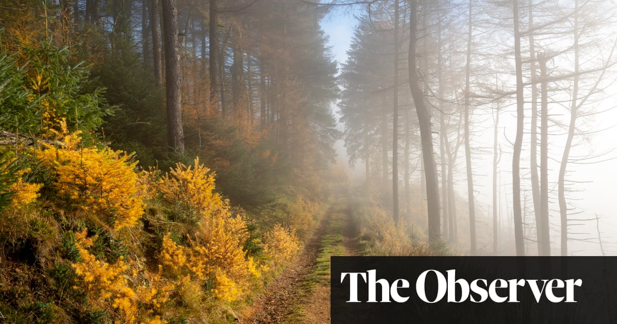 On the right track: how walking connects me to the land and its people