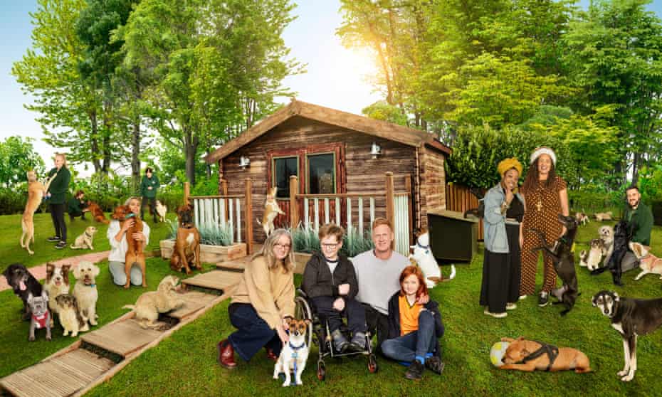 The Dog House Review A Pure Hearted Paean To Puppy Love Television The Guardian The Dog House Review A Pure Hearted Paean To Puppy Love Television The Guardian