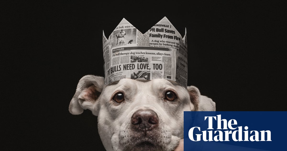 Barking beautiful: the 2026 Dog Photography awards – in pictures