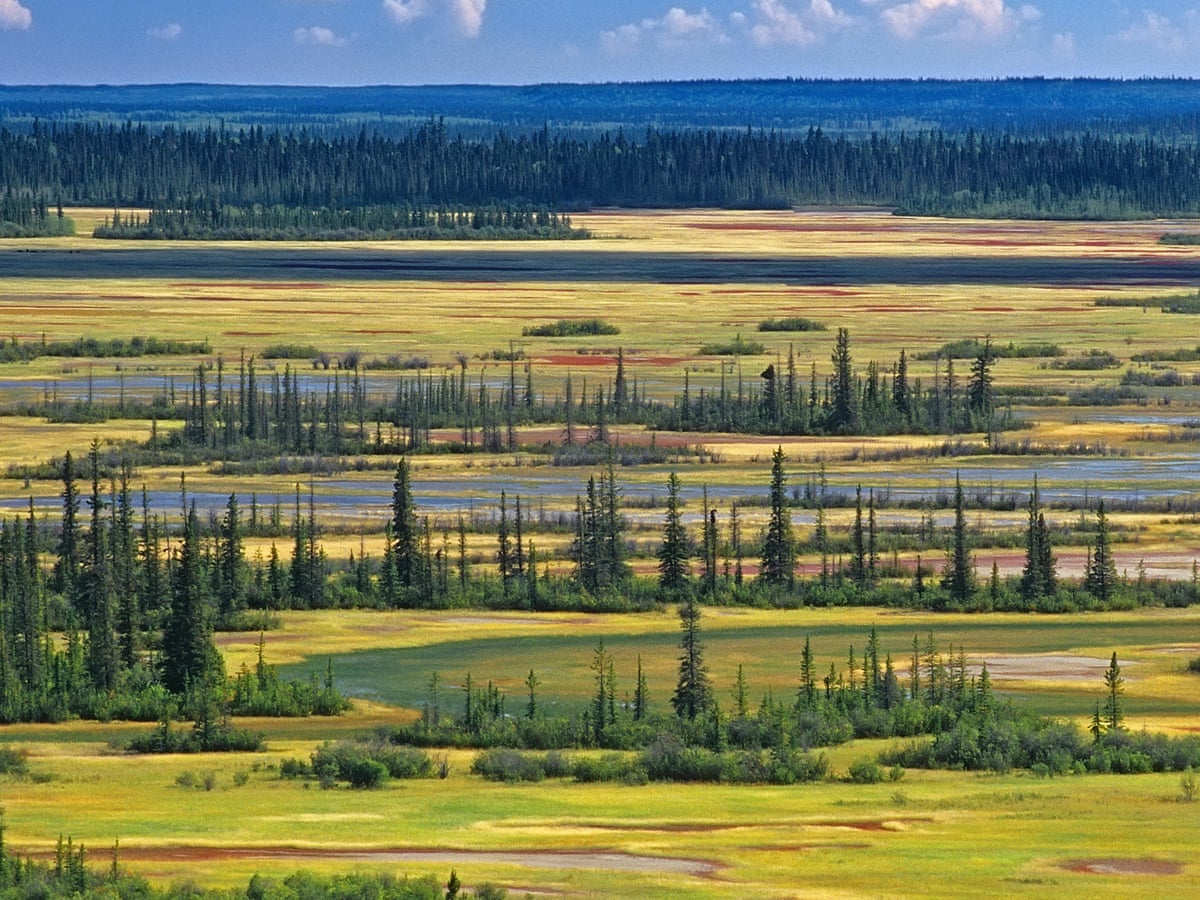 Canada's largest national park risks losing world heritage status | Canada  | The Guardian