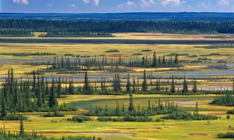 Wood Buffalo national park, the world’s second-largest national park, was placed on Unesco’s endangered list in 2017.