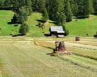 Microplastics in soil pose global threat by acting like ‘Trojan horse’ to deliver toxins