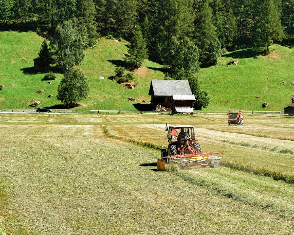 Soil organisms and plants suffer damage