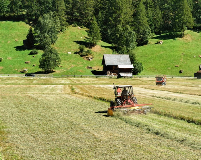 Microplastics in soil pose global threat by acting like ‘Trojan horse’ to deliver toxins