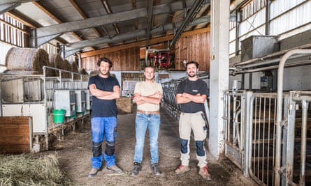 Three young men stand in a barn with stalls for cattle