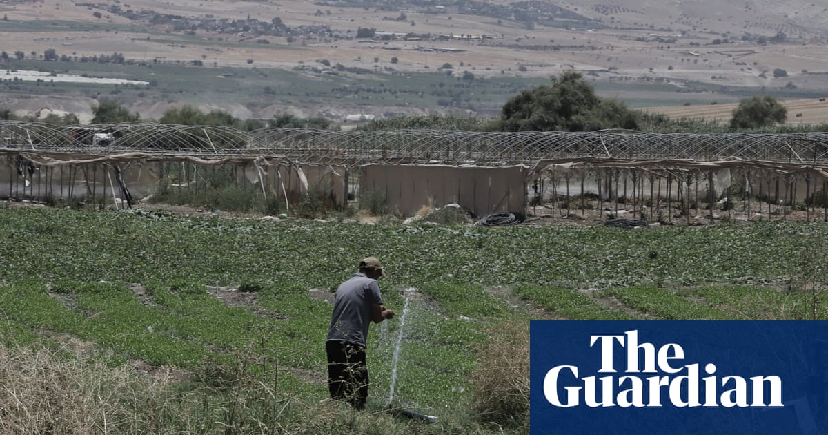 Settler products from occupied Palestine sold to Europe as Israeli, investigation finds
