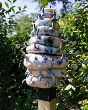 Inseto como comida como casa de Misha Kahn