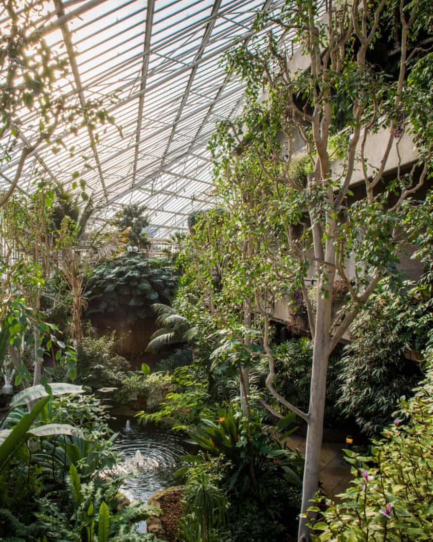 The Conservatory at the Barbican in London.