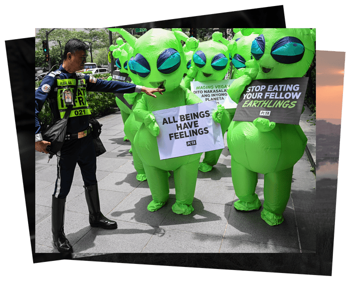 Green aliens in Manila and a Māori warrior: photos of the day – Thursday