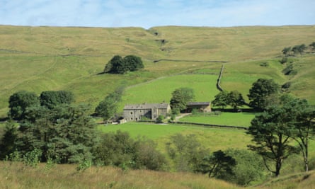 Nethergill Farm