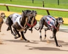 Misogynistic greyhound racing figures to undergo sexism training after Victorian MP Georgie Purcell abused online