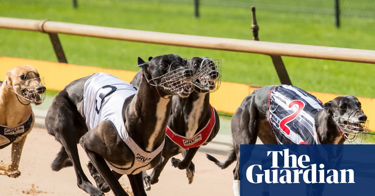 Victoria could save nearly 0m over 10 years by scrapping greyhound racing, estimates show | Greyhound racing Victoria could save nearly 0m over 10 years by scrapping greyhound racing, estimates show | Greyhound racing