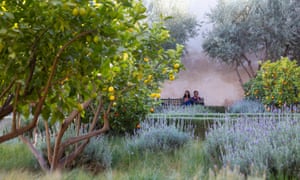 People in the Secret Garden Marrakech, with orange and lemon trees and lavender buches