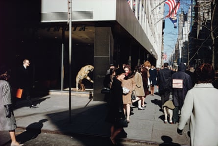 How much is that tiger in the window? … New York City, 1975