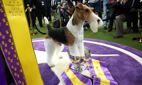 Westminster Kennel Club dog show