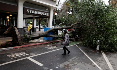 Pedestrians walk around a tree that fell during a storm in downtown Sacramento, California.