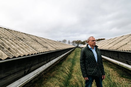 Ghost farms: the mink sheds deserted to the pandemic | Denmark