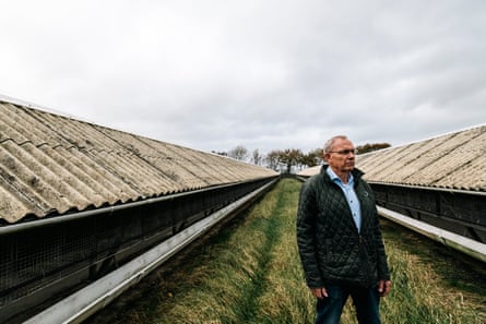 Martin Merrild standing in a field. 