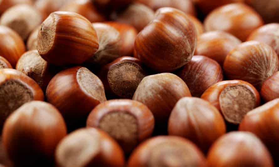 Hazelnut