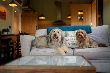 ‘We’ve been expecting you …’ East Ruston Cottages are particularly dog-friendly