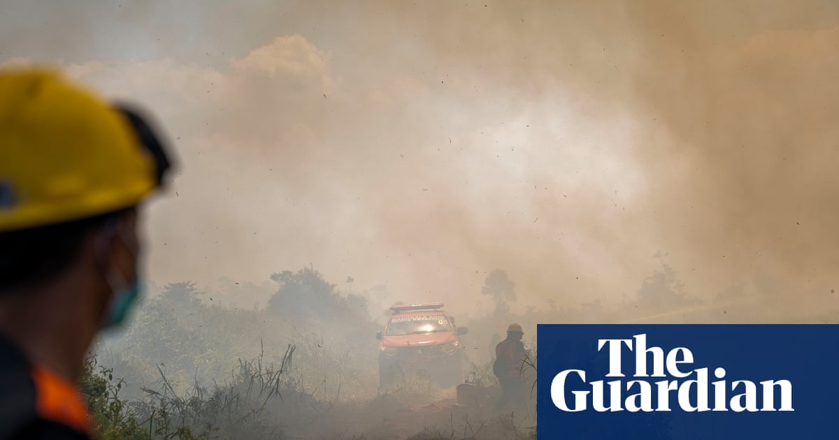 Indonesia wildfires threaten orangutans rescued from animal traffickers